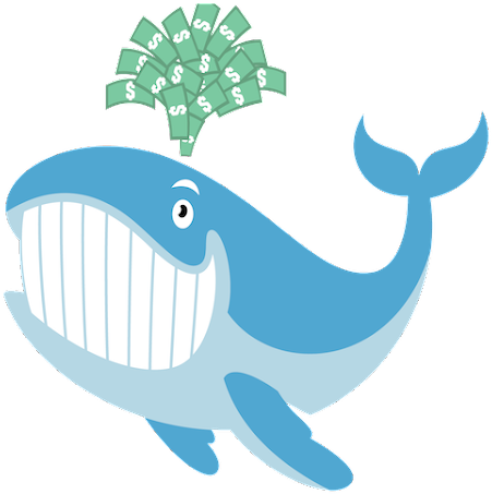 Unusual Whales